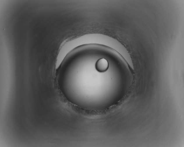 X0000112150144200908211421