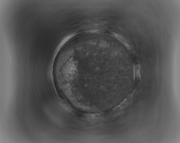 X0000112150147200908211421