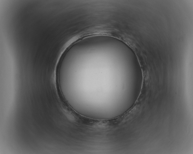 X0000112150148200908211421