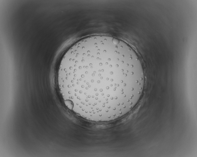X0000112150149200908211421