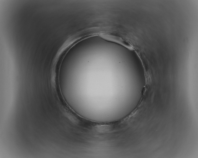 X0000112150150200908211421