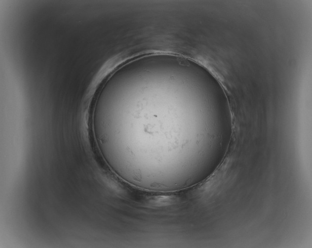 X0000112150151200908211421