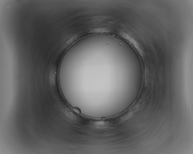 X0000112150153200908211421