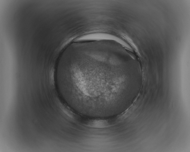 X0000112150154200908211421