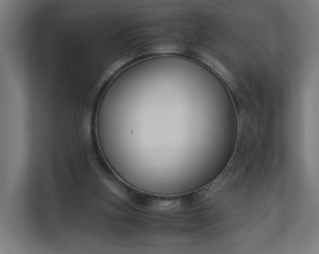 X0000112150155200908211421