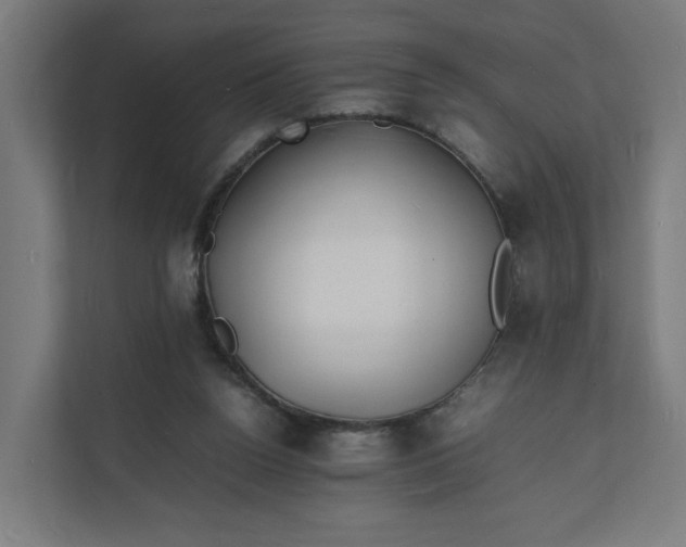 X0000112150160200908211421