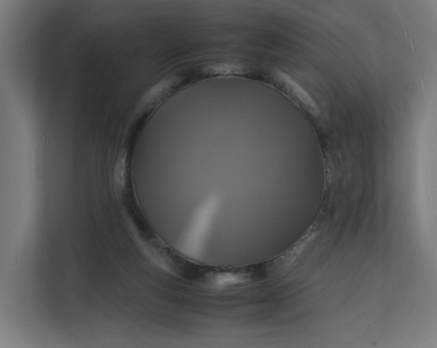 X0000112150163200908211421