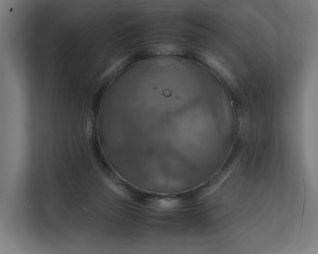 X0000112150165200908211421