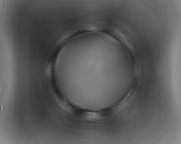 X0000112150167200908211421