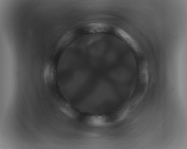 X0000112150169200908211421