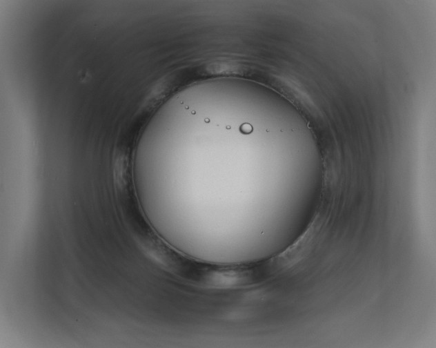 X0000112150171200908211421