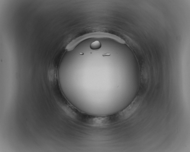 X0000112150172200908211421