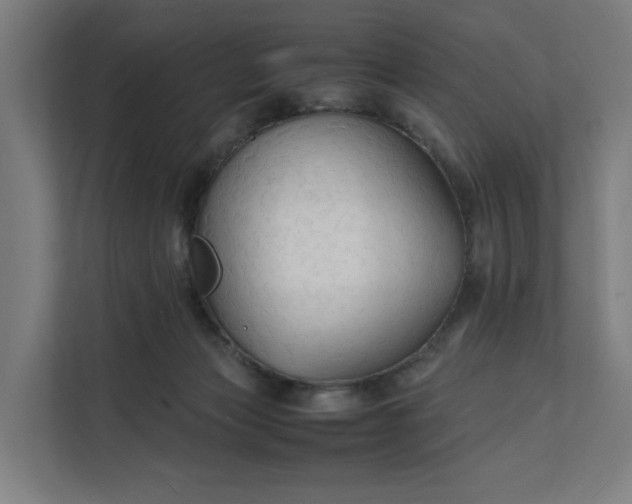 X0000112150173200908211421