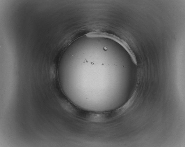 X0000112150174200908211421