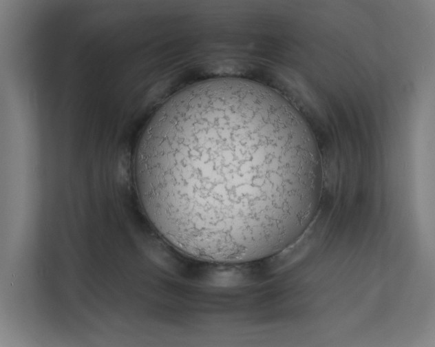 X0000112150175200908211421