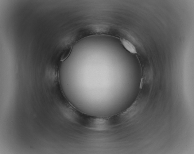 X0000112150176200908211421