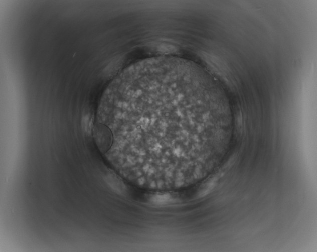 X0000112150177200908211421