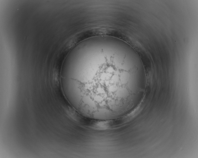 X0000112150178200908211421