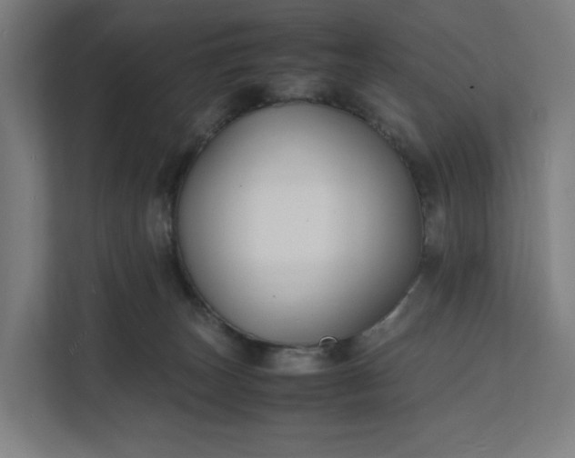 X0000112150179200908211421