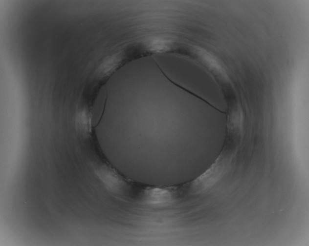X0000112150180200908211421