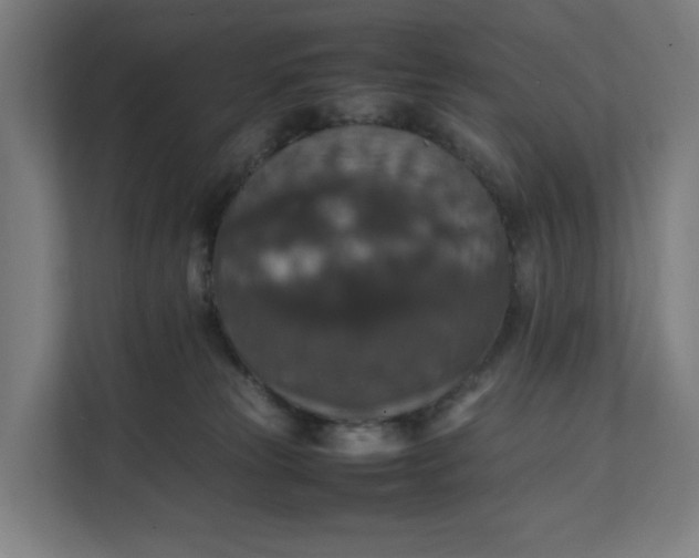 X0000112150181200908211421
