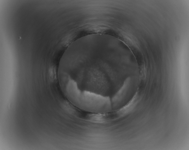 X0000112150182200908211421
