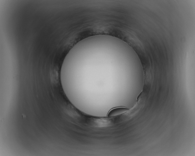 X0000112150183200908211421
