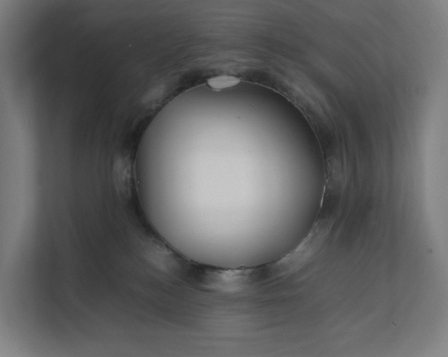 X0000112150184200908211421