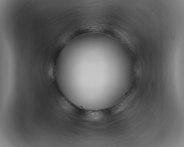 X0000112150185200908211421