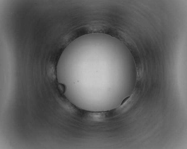 X0000112150187200908211421