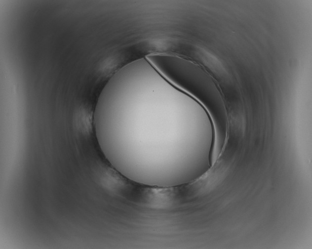 X0000112150188200908211421