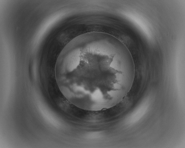 X0000112150189200908211421