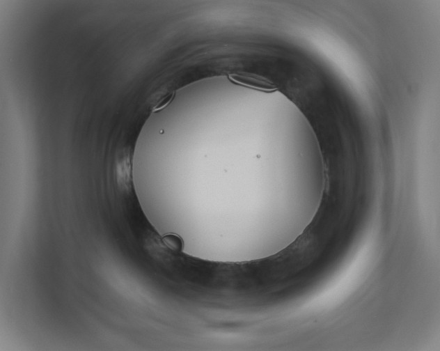 X0000112150190200908211421
