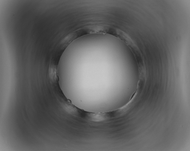 X0000112150191200908211421