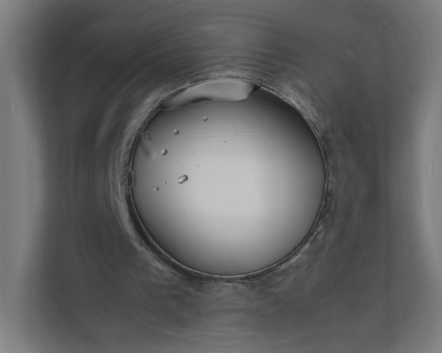 X0000112150193200908211421