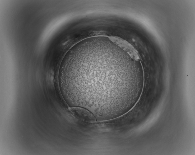 X0000112150194200908211421