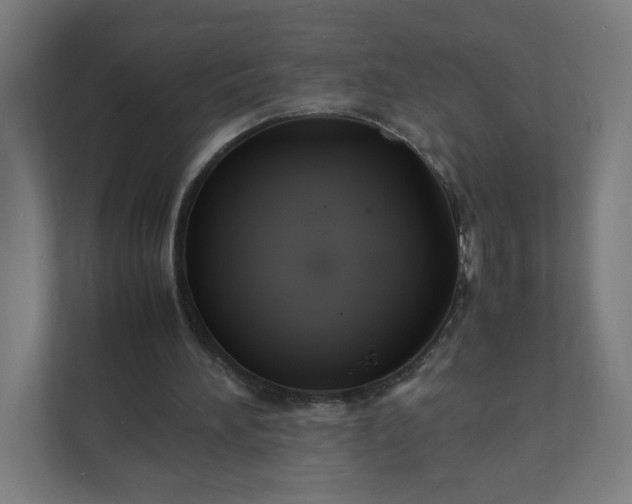 X0000112150196200908211421