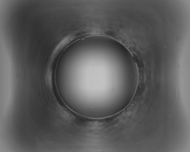 X0000112150197200908211421