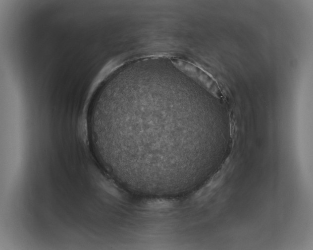 X0000112150198200908211421