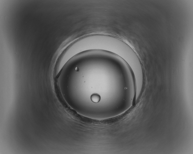 X0000112150199200908211421