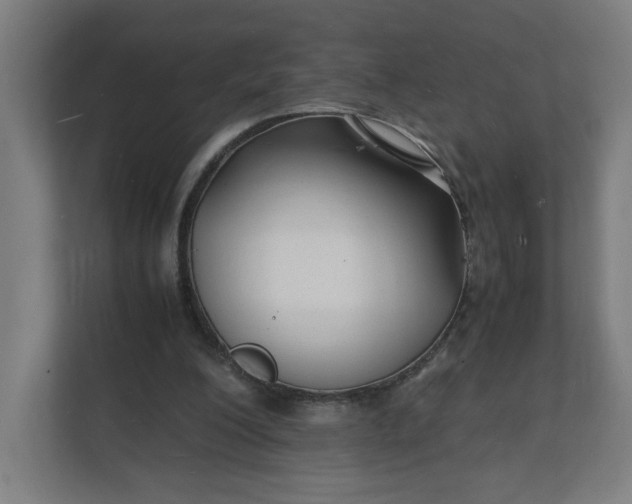 X0000112150200200908211421