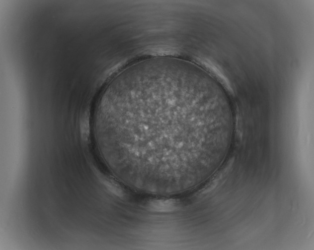 X0000112150202200908211421