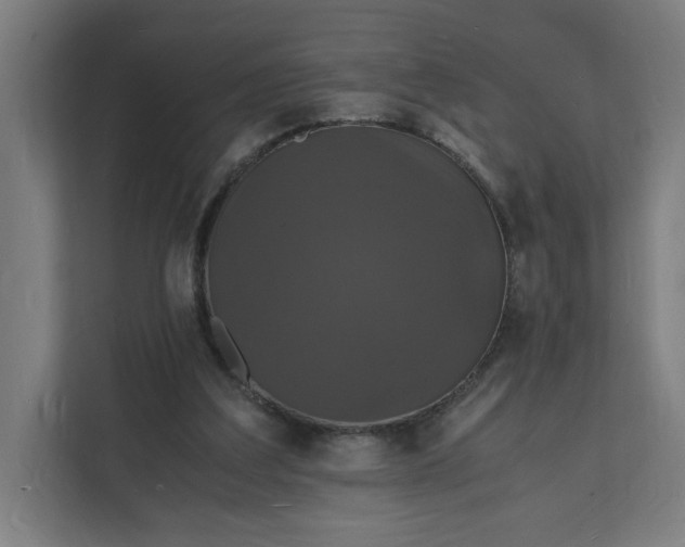 X0000112150203200908211421