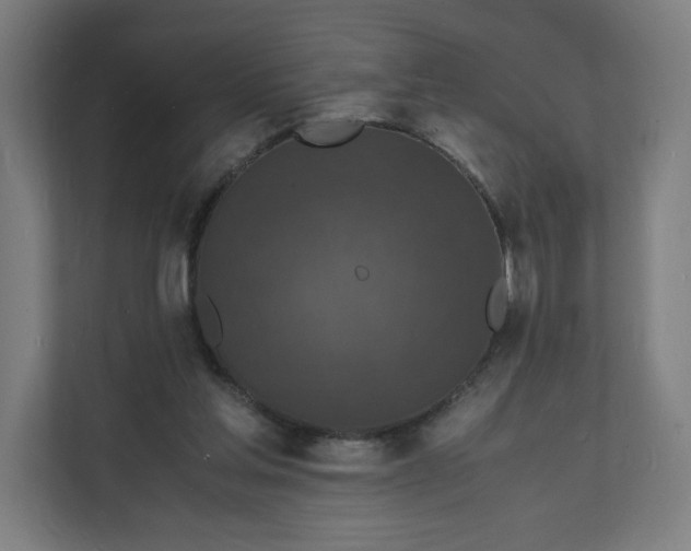 X0000112150205200908211421