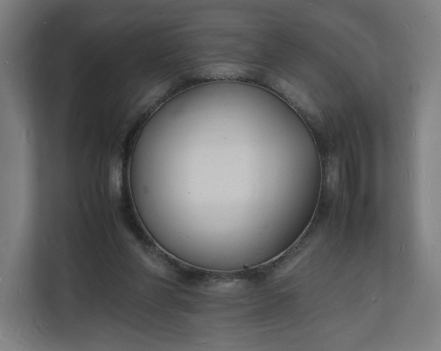 X0000112150206200908211421