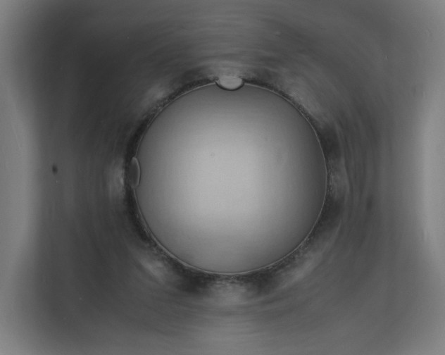 X0000112150207200908211421