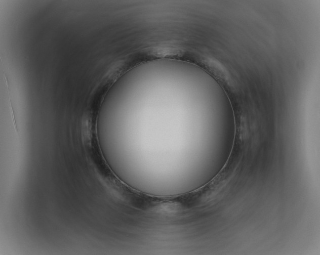 X0000112150210200908211421