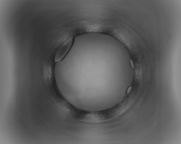 X0000112150211200908211421