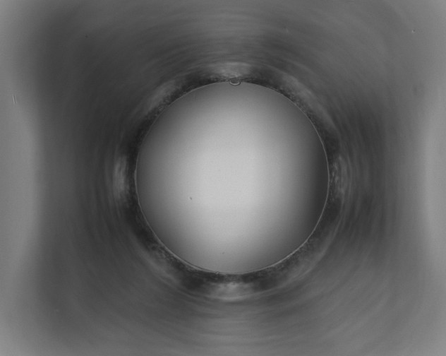 X0000112150212200908211421