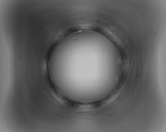 X0000112150213200908211421